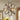 Maya 6 Light Barnwood And Brushed Nickle Pendant Lighting