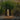 Ayuna Japandi Short Solar Powered Woven LED Outdoor Floor Lamp