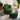 #color_green-chenille