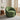 #color_green-velvet